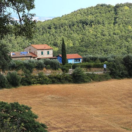 Villa Casa Maria Magliano in Toscana Exterior foto