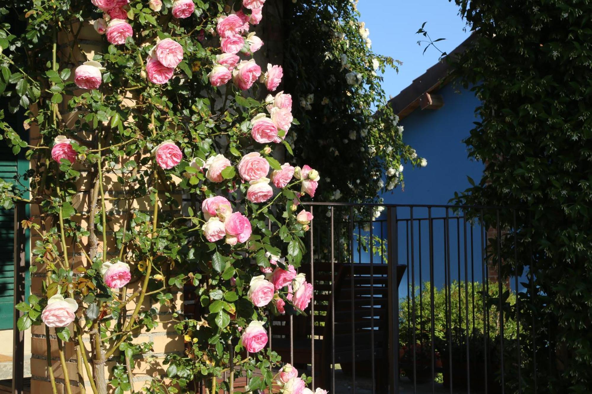 Villa Casa Maria Magliano in Toscana Exterior foto
