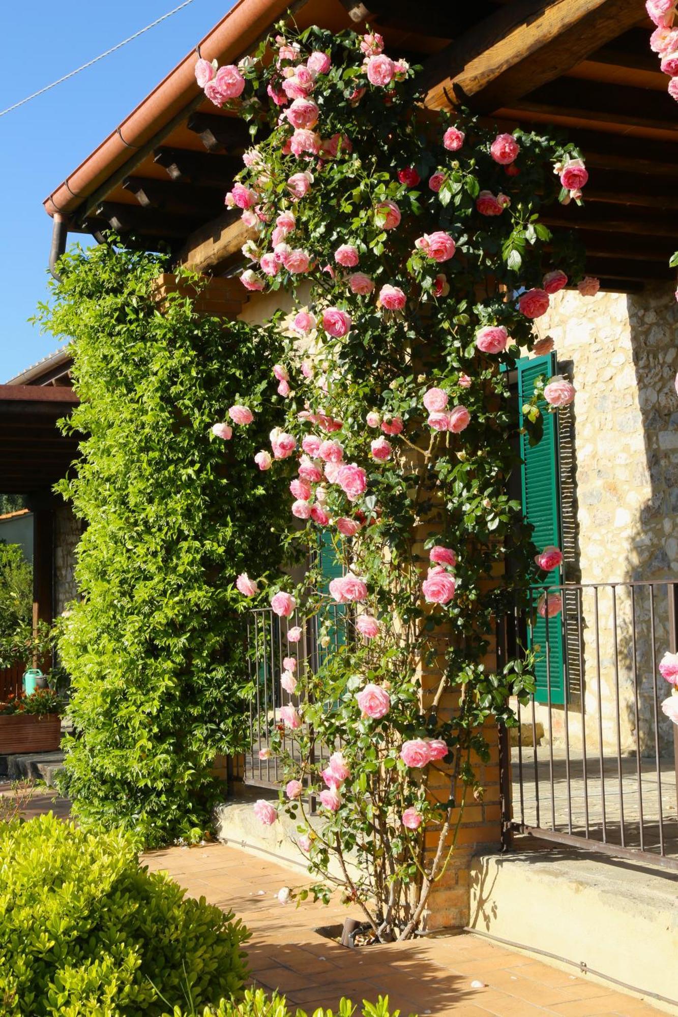 Villa Casa Maria Magliano in Toscana Exterior foto
