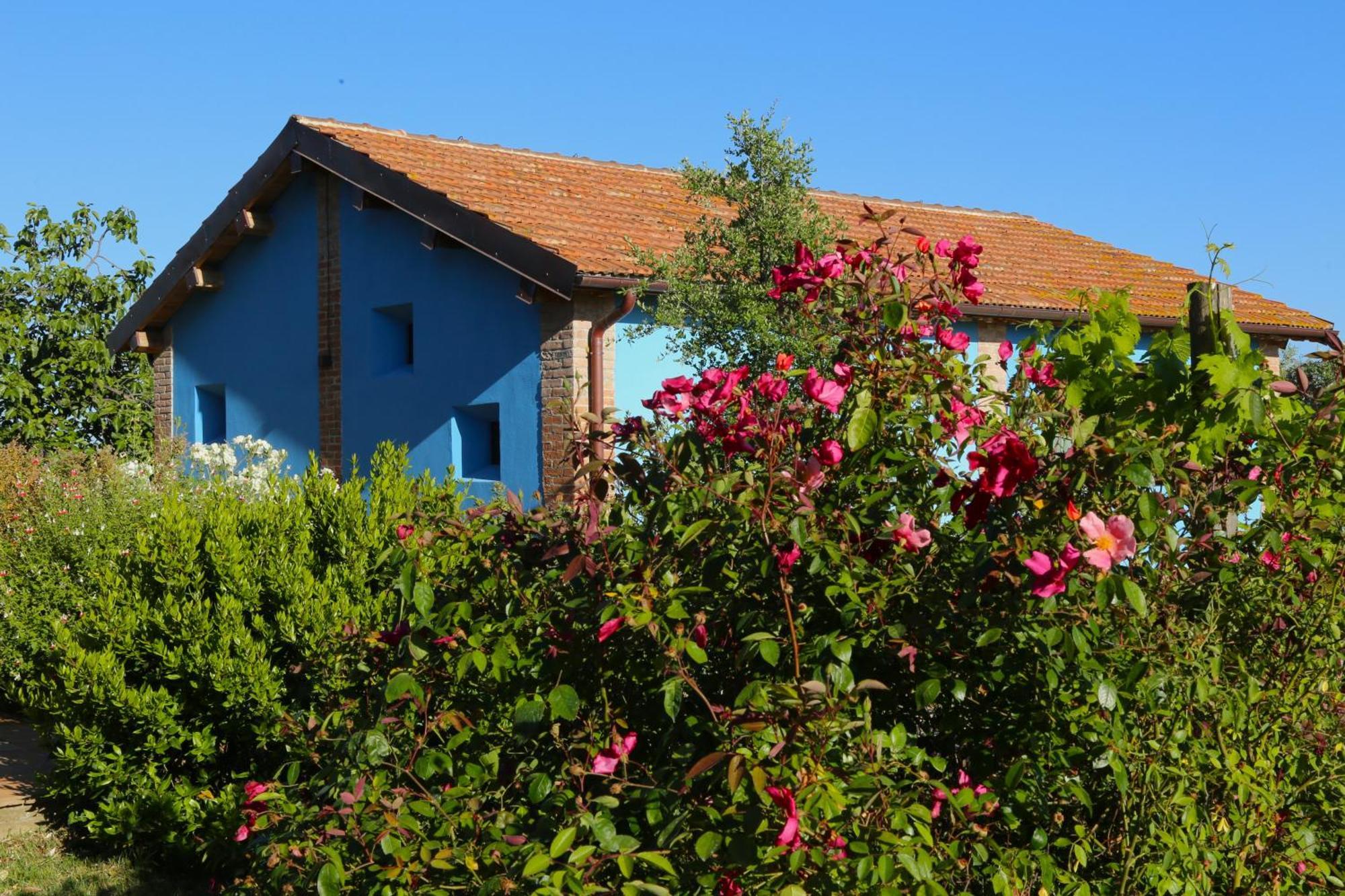 Villa Casa Maria Magliano in Toscana Exterior foto